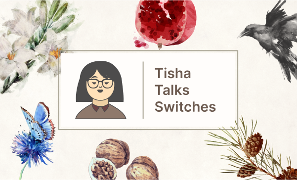 Introducing Tisha Talks Switches