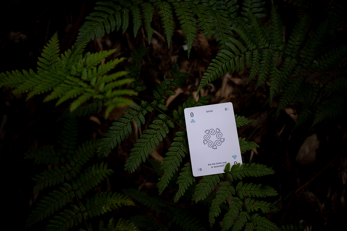 Thank you for reading!