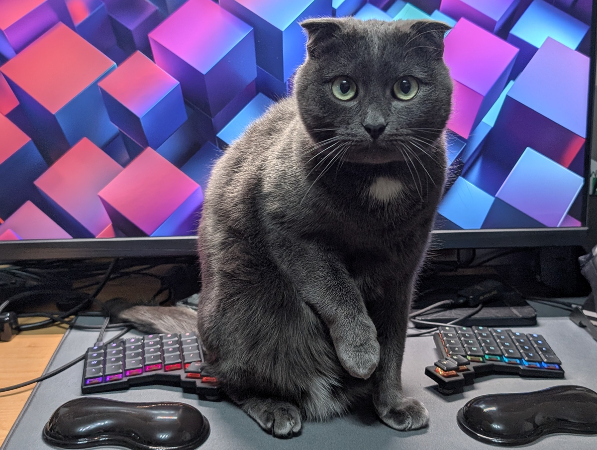 Thank you for reading!