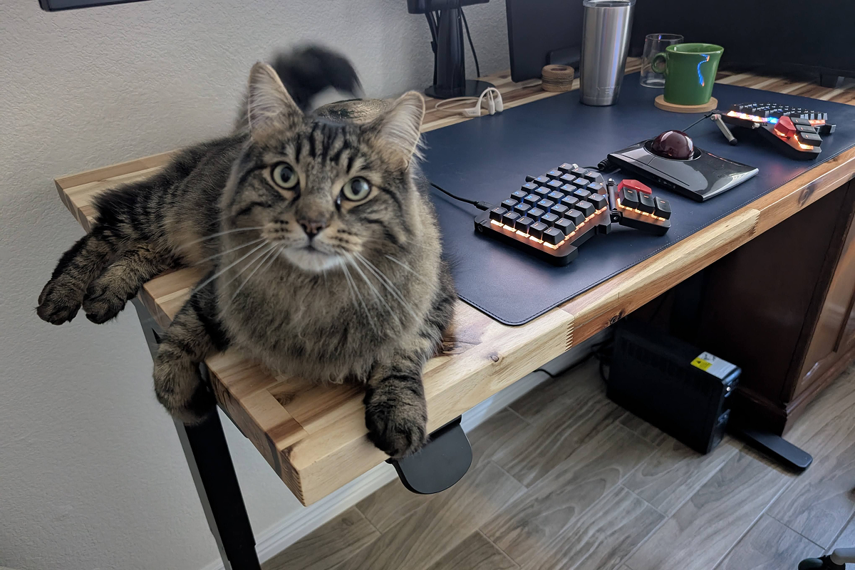 Thank you for reading!